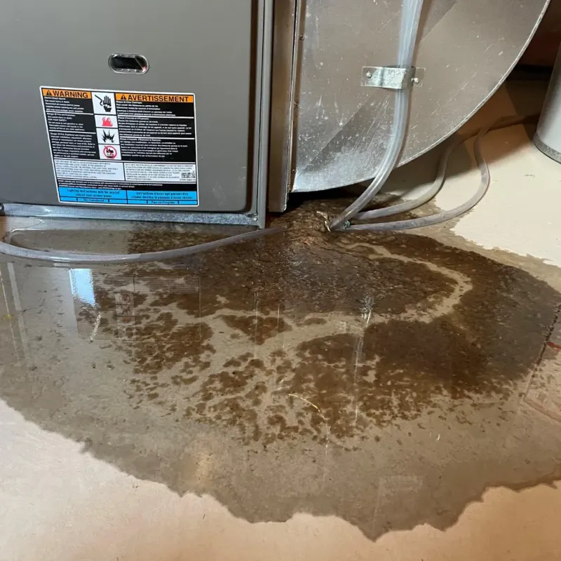 Appliance Leak Cleanup in Waipio Acres, HI