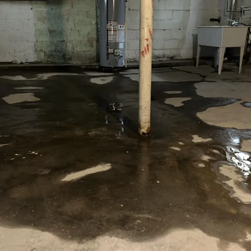 Emergency Water Extraction And Removal in Waipio Acres, HI